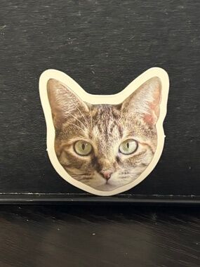 Cat face sticker
